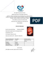Informe Médico de Colposcopia Heslisneidy Molleja 30-08-23
