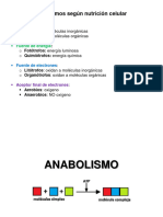 ANABOLISMO