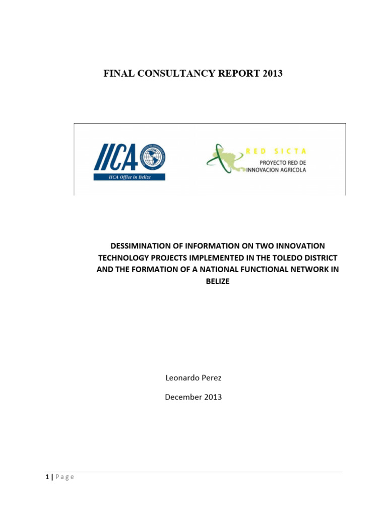 Consulting Report Template 20 | PDF | Business