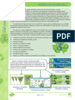 Gratuit Saptamana Verde La Ciclul Primar Idei Pentru Profesori Ver 3