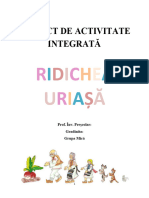P.D.INTEGRAT_RIDICHIA URIASA_DLC+DOS_GR MICA