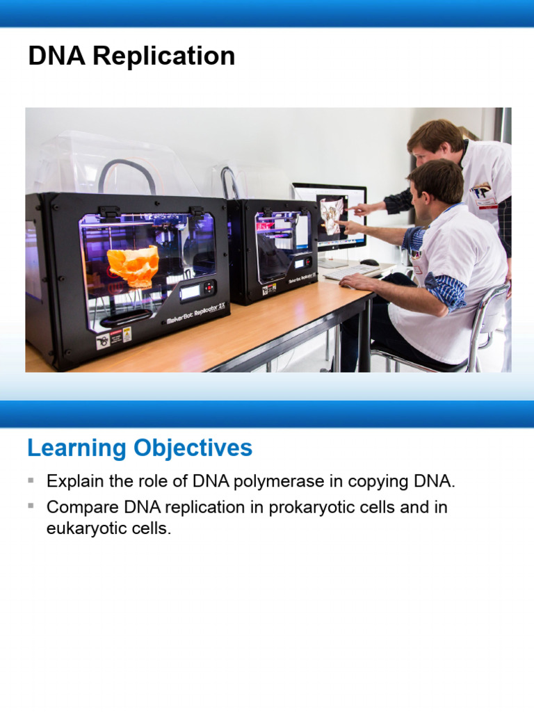 DNA Replication: Prokaryotes vs Eukaryotes | PDF | Language Arts ...