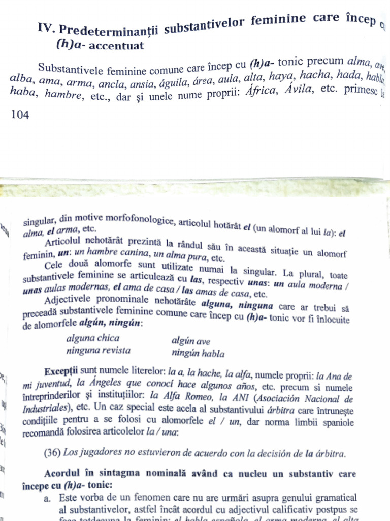Substantivele Feminine Care Incep Cu (H) A-Accentuat | PDF