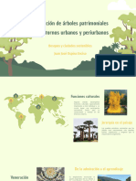 Conservación de Arboles Patrimoniales