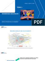 Tema 1: Membranas Biológicas