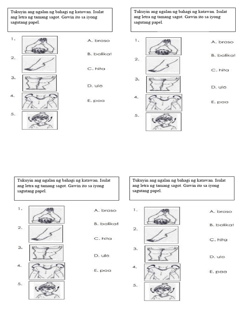 Activities Day 4 Week 2 | PDF