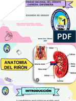 New Insuficiencia Renal Cronica 2023