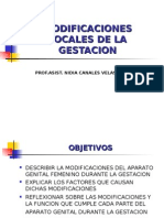 Modificaciones Locales de La Gestacion