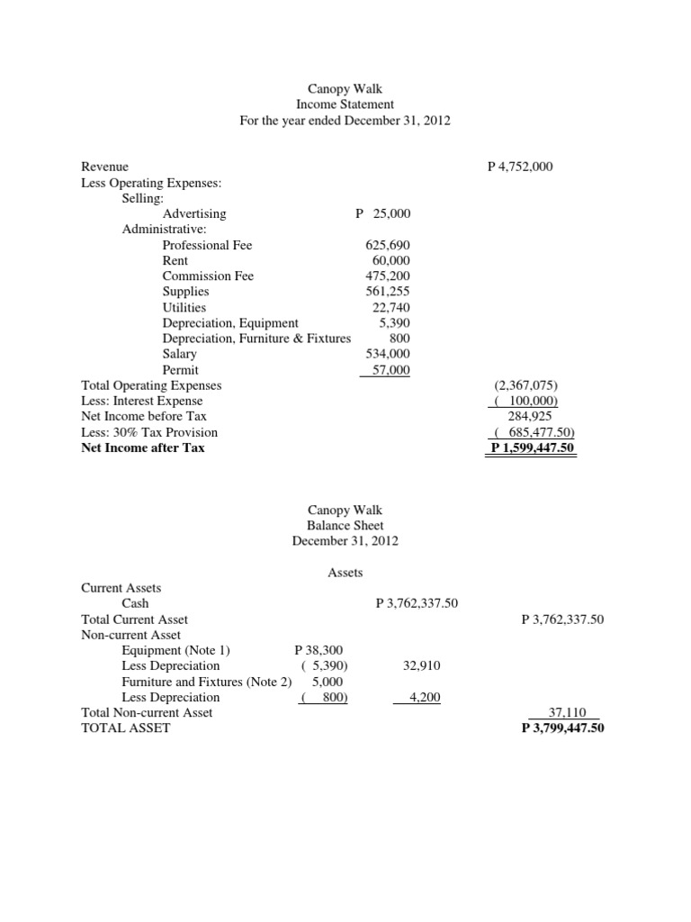 Canopy Walk 2012 Financial Statements | PDF