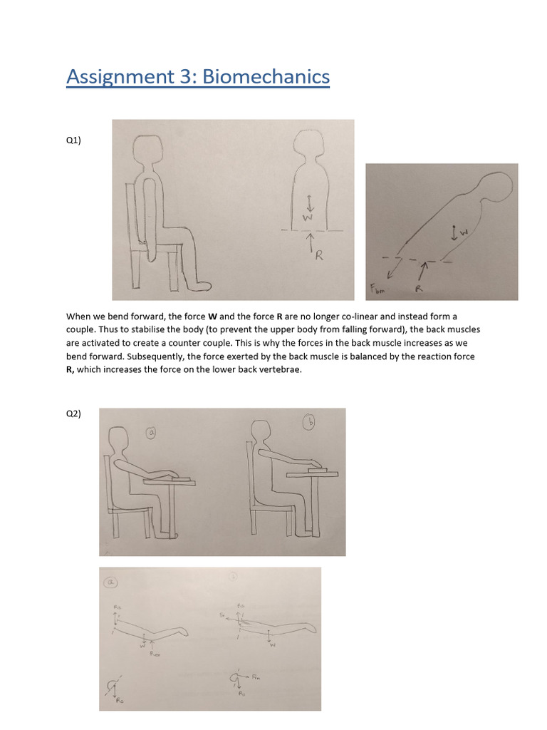 Assignment 3 Download Free Pdf Force Neck