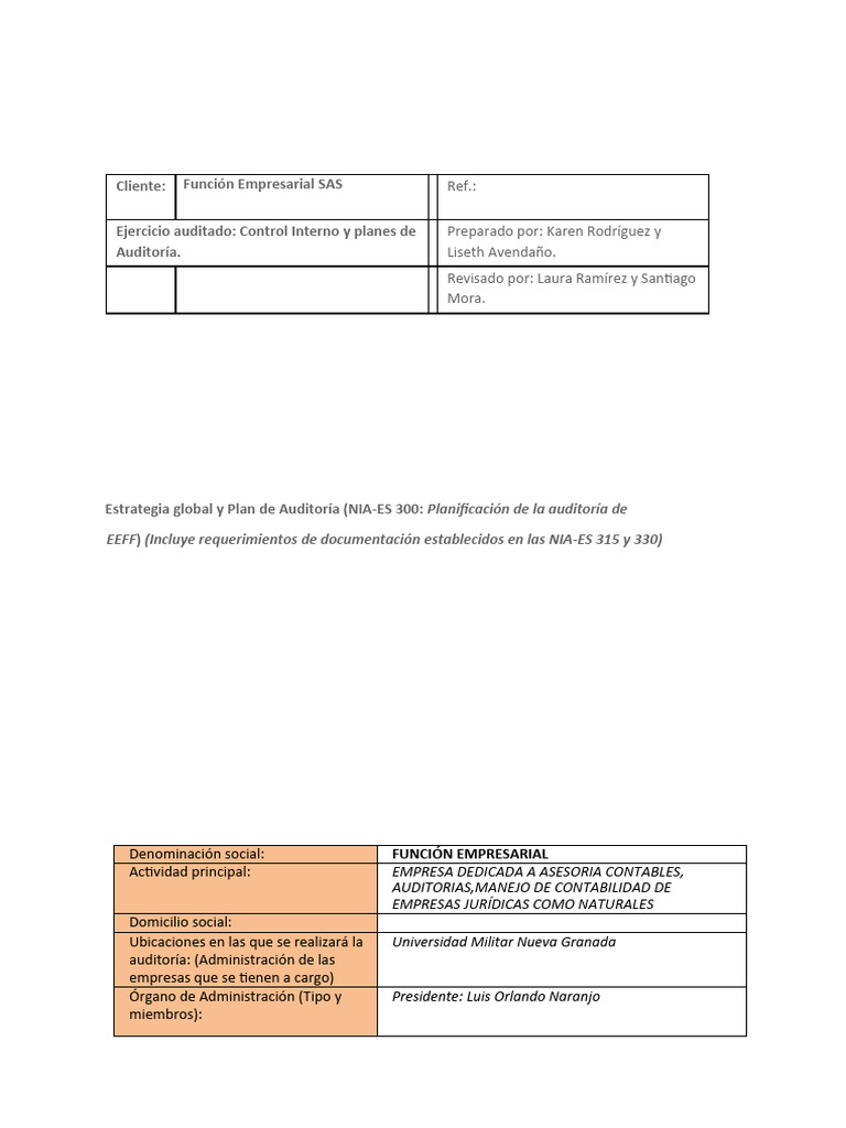 Guía Elaboración Estrategia de Auditoria y Plan Global | PDF
