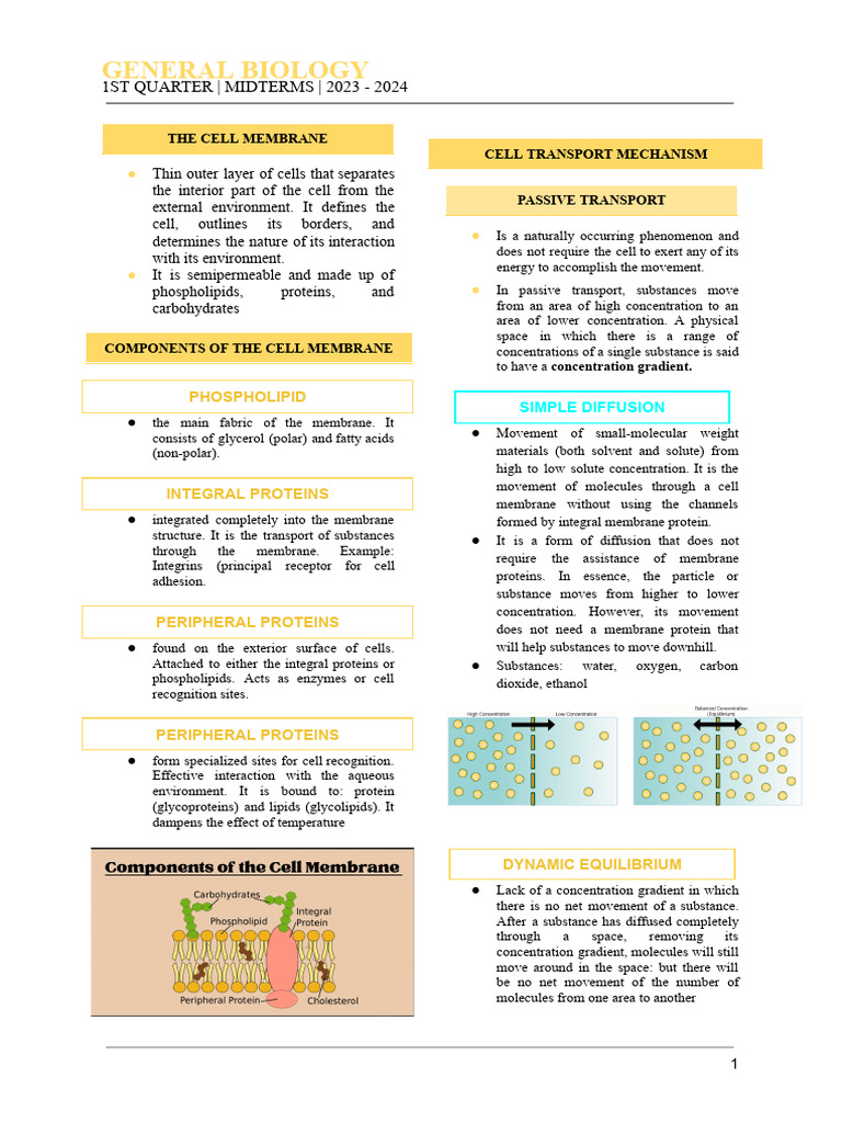 Bio Notes QUIZ 2 PDF Cell Membrane Diffusion