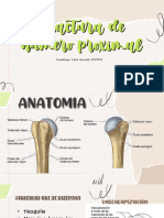 Fractura de Humero Proximal