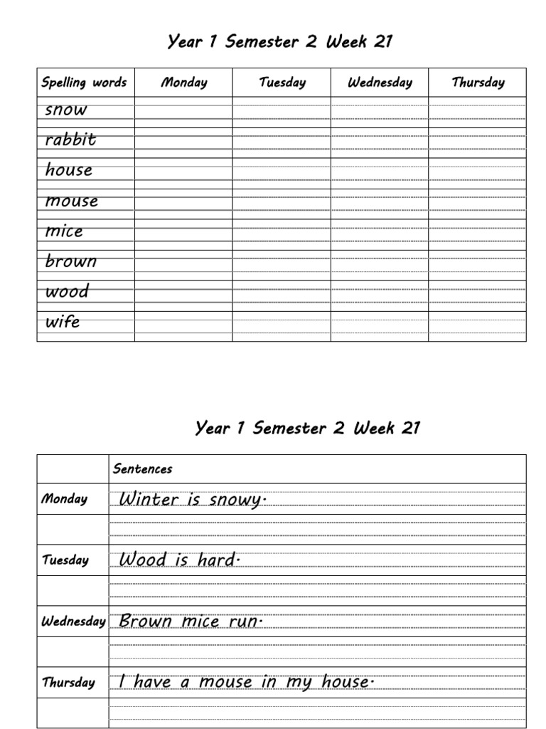 English Spelling Log W21 11-09 | PDF