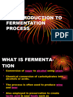 An Introduction To Fermentation Process