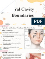 Oral Cavity Boundaries