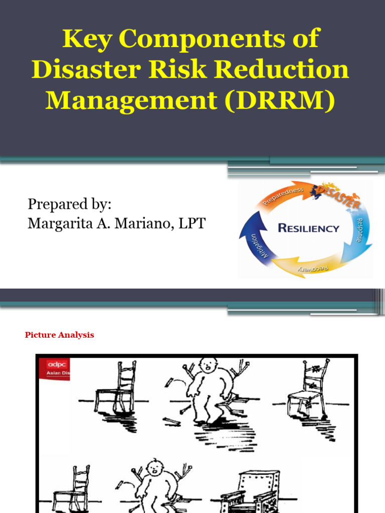 Key Elements of Disaster Risk Management | PDF | Emergency Management ...