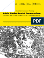 4.4 Addis Ababa Spatial Compendium