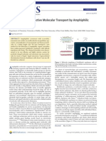 Charge and Size Selective Molecular Transport by Amphiphilic Organic Nanotubes