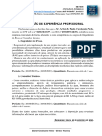 D Fish Declaração Experiencia Atualizado 2