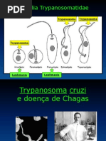 Doença de Chagas e Leishmaniose -Biomed