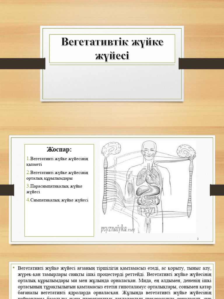 Интернетте ең жақсы жеке порно фильмдерді қараңыз