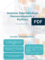Hemocromatosis y Porfirias