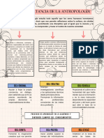 Trabajo de Antropologia