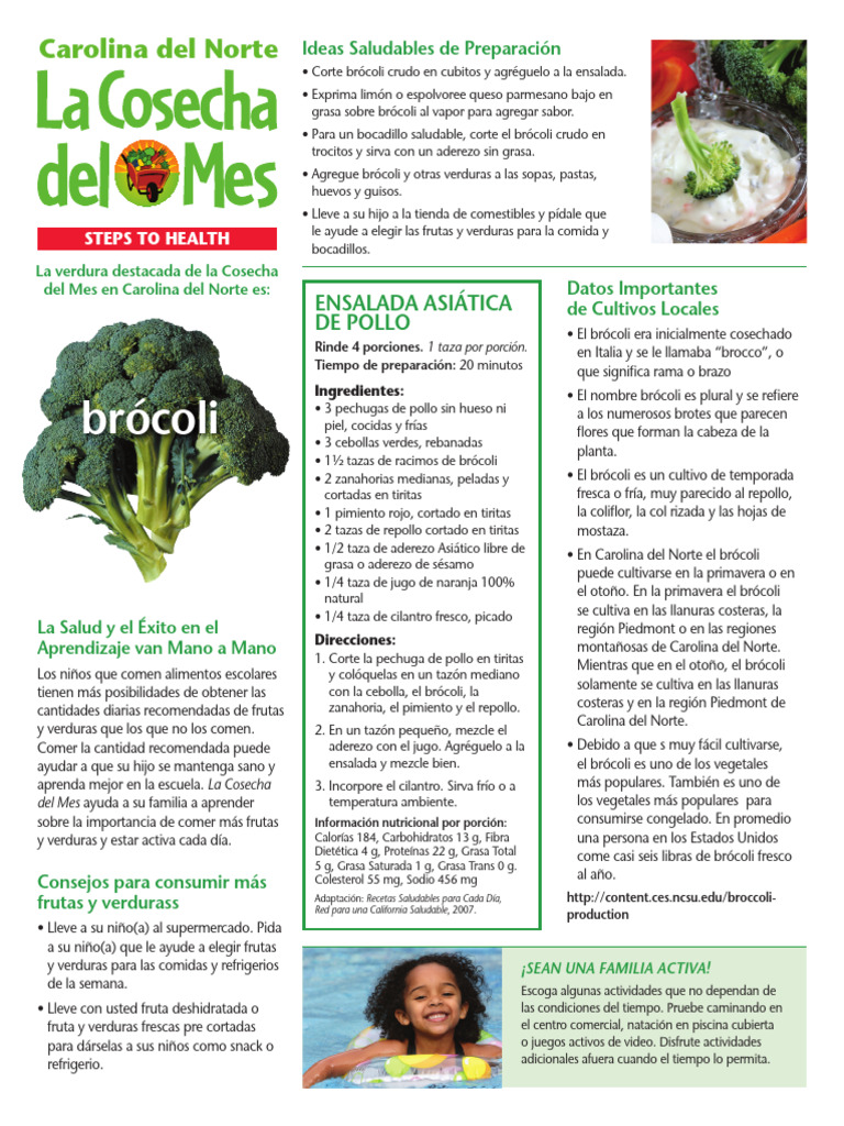 Beneficios y Cultivo del Brócoli | PDF | Brócoli | Vegetales