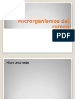 Microrganismos Del Rumen