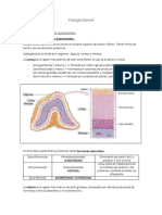 Unidad 13. Citología General de La Glándula Suprarrenal.