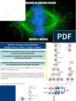Diapos para Entorno Meiosis y Fecundación en PDF