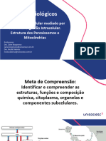 05 Aula Vesiculas Lisossomos Peroxissomos