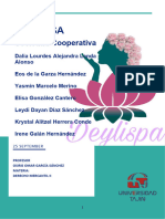 Informe Deylispa