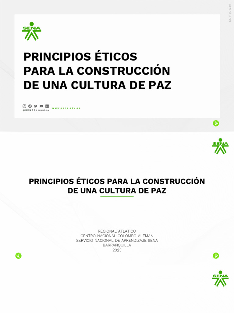 Principios Éticos para La Construcción de Una Cultura de Paz | PDF