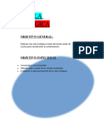 La Vela Ecologica Informe