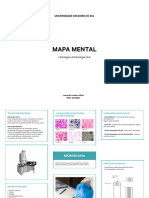 Mapa Mental Leonardo Cordeiro Wlian