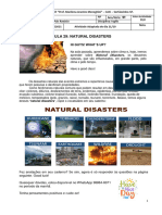 INGLÊS 9º Ano - Sem 35 - Aula 29 - Adaptada - Natural Disasters
