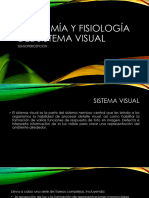 Anatomía y Fisiología Del Sistema Visual-1