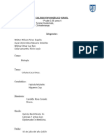 Biología F.S