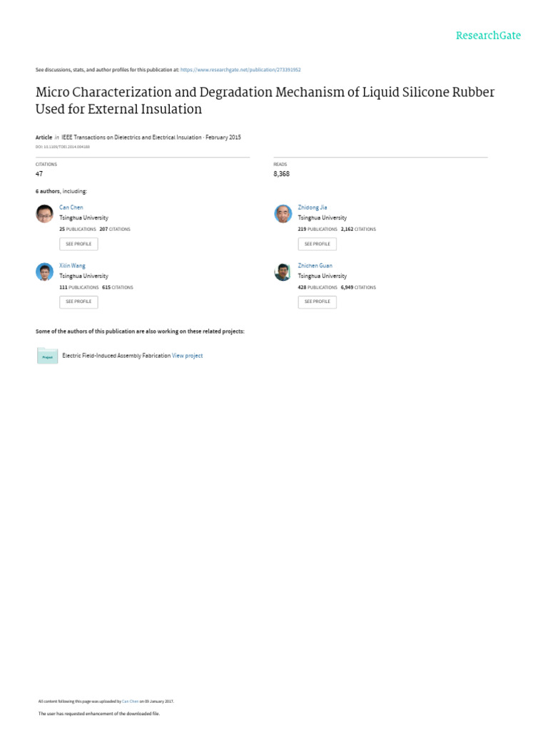 Micro Characterization and Degradation Mechanism of Liquid Silicone