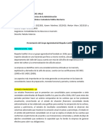 Analisis Estados Financieros Rio Paila Castilla