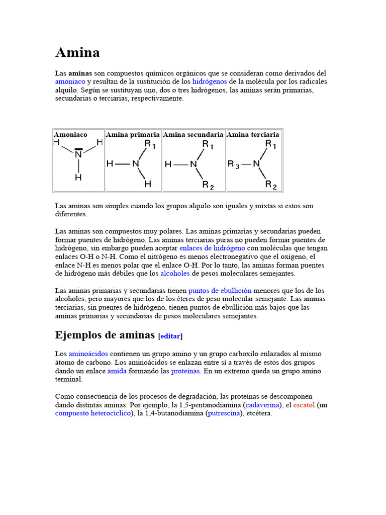 Amina PDF Amina Química