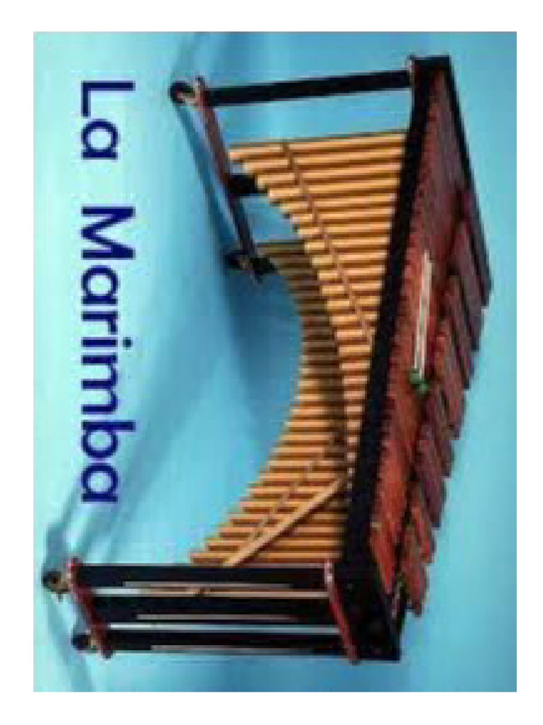 La Marimba PDF