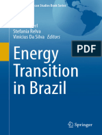 Energy Transition in Brazil (Drielli Peyerl, Stefania Relva