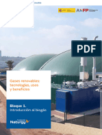 B1 Introduccion Biogas