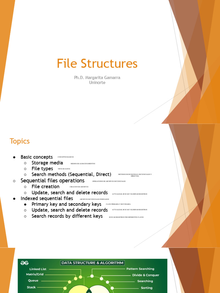 File Structure | PDF