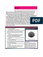 PDF File