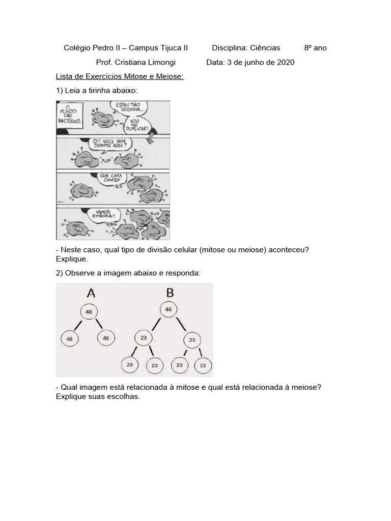 Lista de Exercicios Mitose e Meiose 8o Ano | PDF