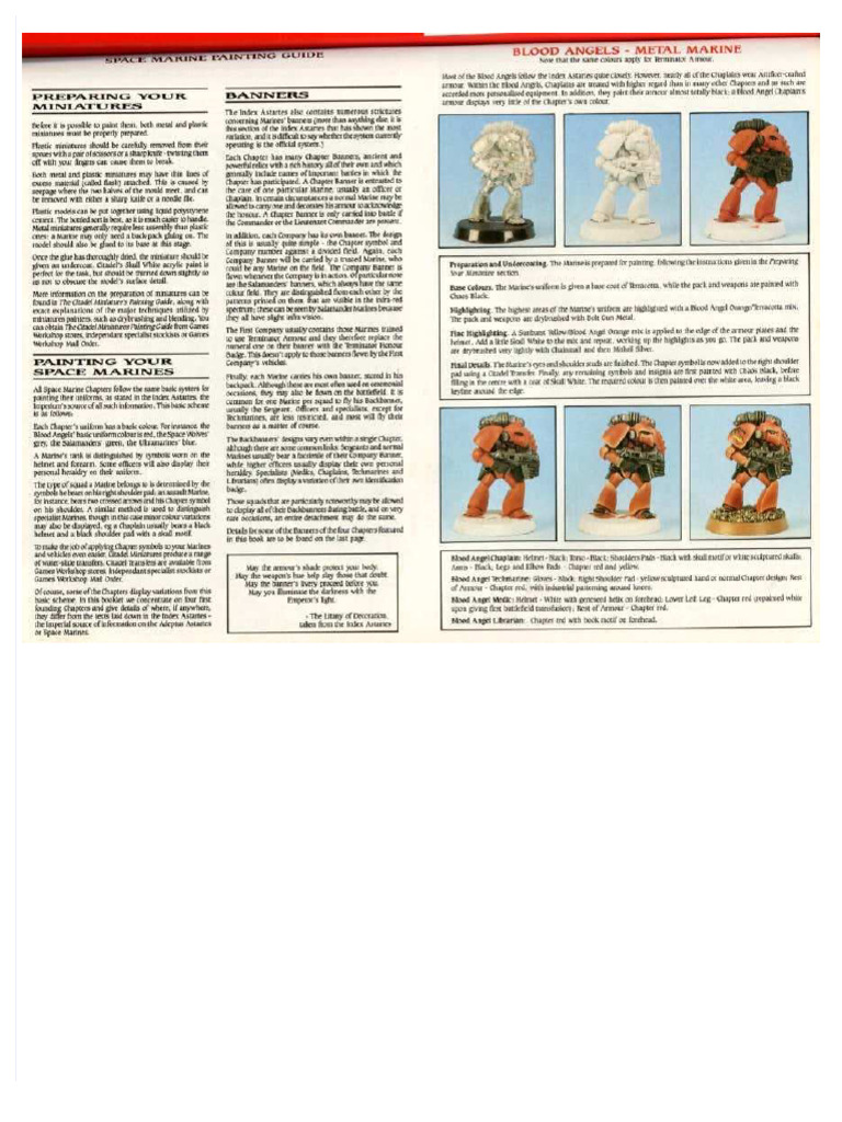 WARHAMMER 40K PAINTING RULES intelligence overview